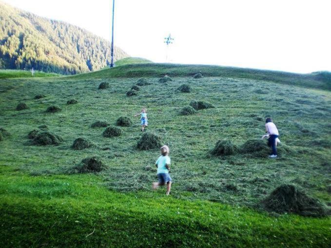 فيلا Bio-Berghof نيديرثاي المظهر الخارجي الصورة